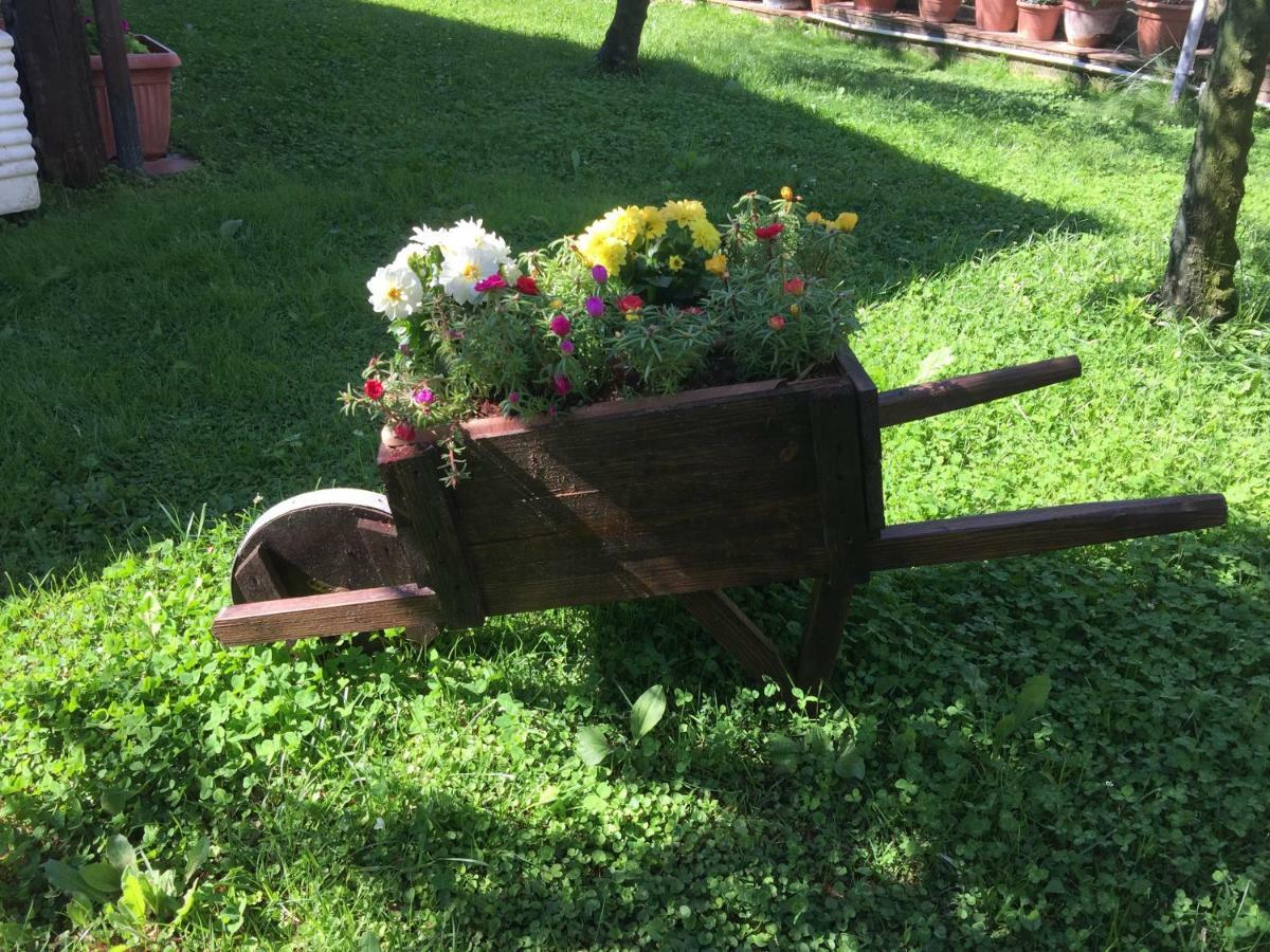 Casa Loredana Villa Scauri  Esterno foto